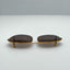 American Optical Glasses Clip 46