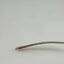 Feng Shui Eyeglasses Eye Glasses Frames FS101 Purple 50-17