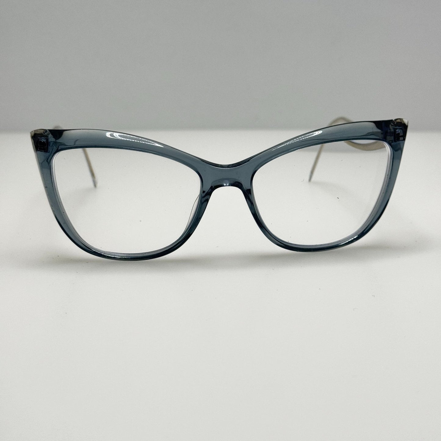 Marciano Eyeglasses Eye Glasses Frames Silver Blue
