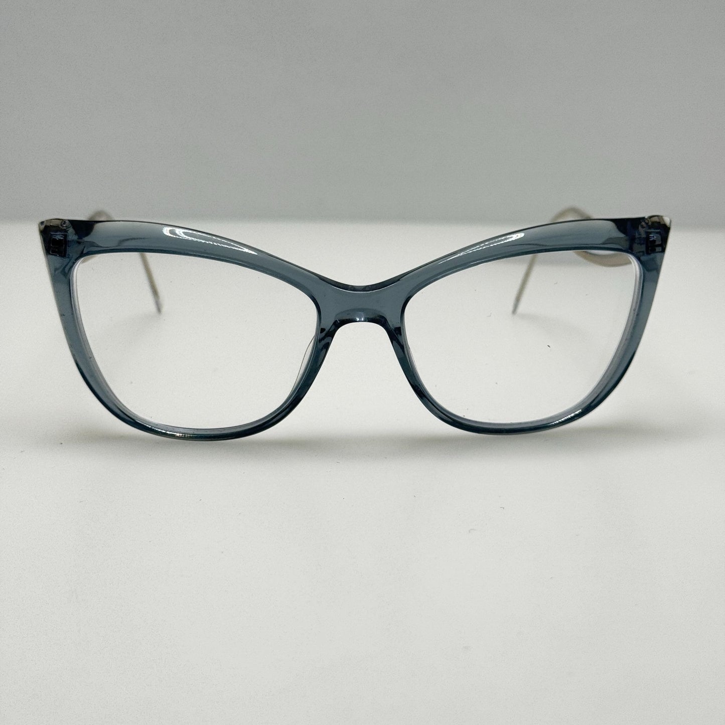 Marciano Eyeglasses Eye Glasses Frames Silver Blue