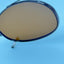 Marchon M615T 49 210 Clip Clips On Sunglasses Polarized Japan