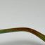 Tiffany & Co. TF 2168 8134 Eyeglasses Eye Glasses Frames 54-17-140 B
