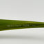 Scojo Eyeglasses Eye Glasses Frames Sidney Place 1076