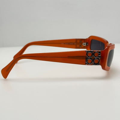 Salvatore Ferragamo Sunglasses 2036 243/61 55-20-135
